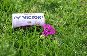 Outdoor Badminton