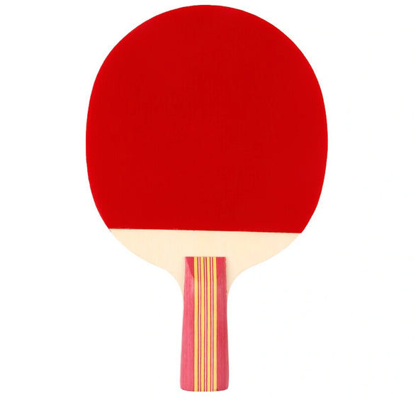 DHS Type II Table Tennis Bat Set