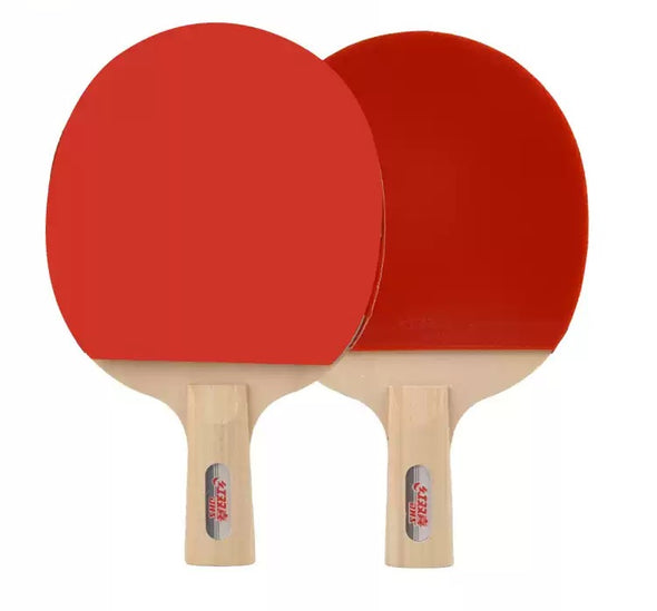 DHS Type III - S Table Tennis Bat Set