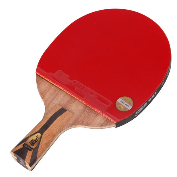 DHS Table Tennis Bat H7006