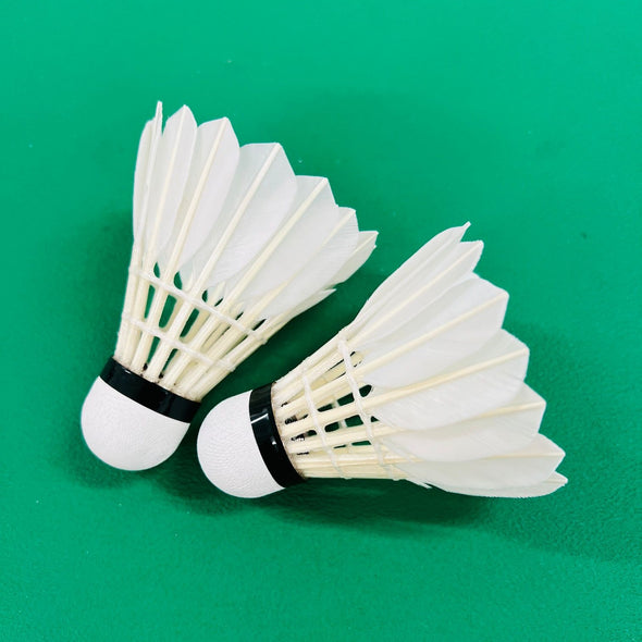 YUNE Y1 Badminton Shuttlecocks