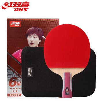 DHS Table tennis bat H6006