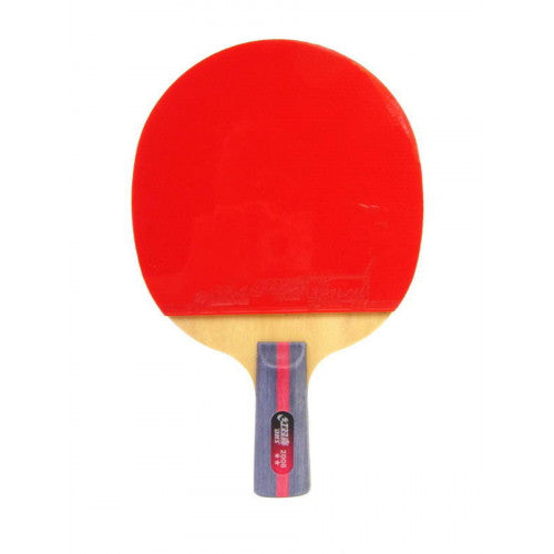 DHS Table tennis bat H2006