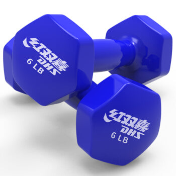 DHS Dumbbell Dip PD1