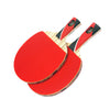 DoubleFish 8A Series Table Tennis Racket 8A-E