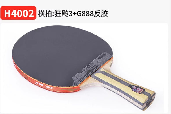 DHS Table tennis bat H4002