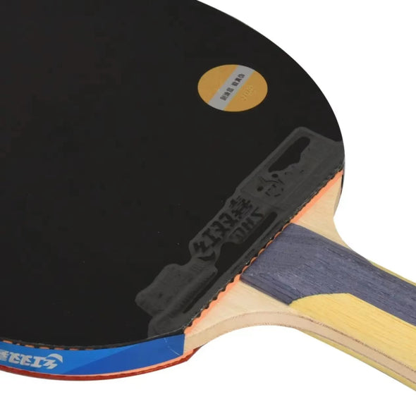 DHS Table tennis bat H5006